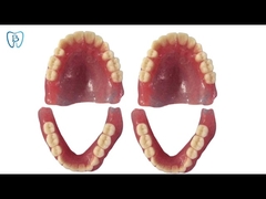 Digital Design 3D Printed Flexible Acrylic Denture Dental Lab