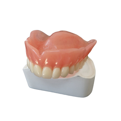 Entfernbares orthodontisches FDA 3D druckte Zahn-Kronen-Poliermaterial