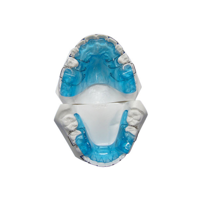 Zahnmedizinische CER-FDA-ISO bestätigte orthodontische Technologie-einfaches Wartungs-langlebiges Gut