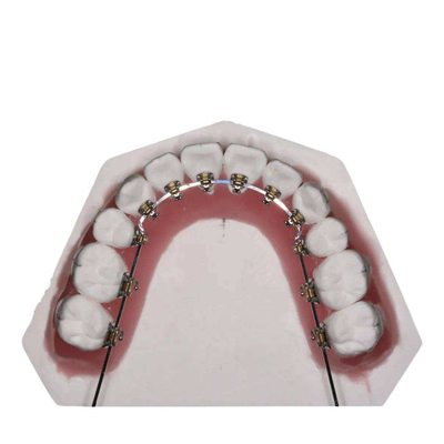 Gerader Draht reparierte orthodontische Geräte für das Zahn-Geraderichten