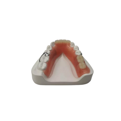 Flexible Harzprothese Dentallabor Dental Acryl Abnehmbare Teilprothesen