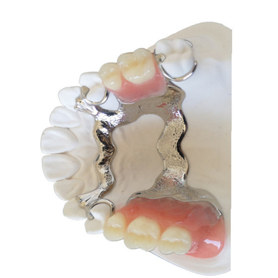 Zahnbrücke gutes Biocompatibility 3D FDAs PFM, das zahnmedizinische Modelle druckt