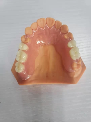 3D druckte Gebisse für die zahnmedizinischen Labors, die auf Digital-Daten basierten