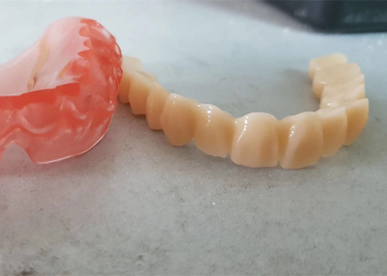 Realistisches Digital-Daten Soem 3D druckte zahnmedizinische Modelle für Zahnarzt Study