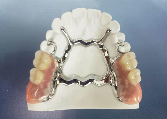 Natrural schattieren 3D, das örtlich festgelegtes entfernbares Gebiss für Zahnarzt Study druckt