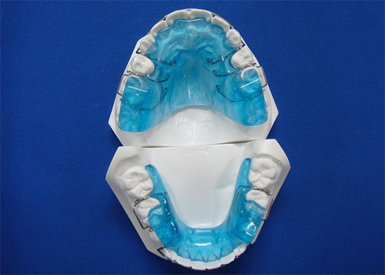 Zahnmedizinische CER-FDA-ISO bestätigte orthodontische Technologie-einfaches Wartungs-langlebiges Gut
