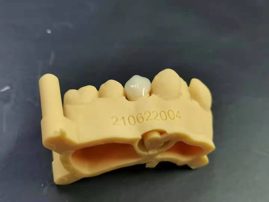 Soem 3D, das Digital-Entwurf Labor des flexiblen Acrylgebisses zahnmedizinischen druckt