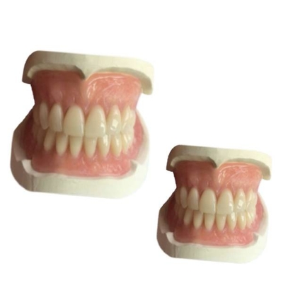 Cad-Gebiss-druckte zahnmedizinischer Labor- Nocken Gummi-3D Zahn-Krone Natrural-Schatten