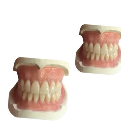 Cad-Gebiss-druckte zahnmedizinischer Labor- Nocken Gummi-3D Zahn-Krone Natrural-Schatten
