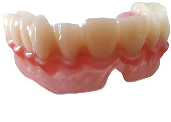 Realistisches Digital-Daten Soem 3D druckte zahnmedizinische Modelle für Zahnarzt Study